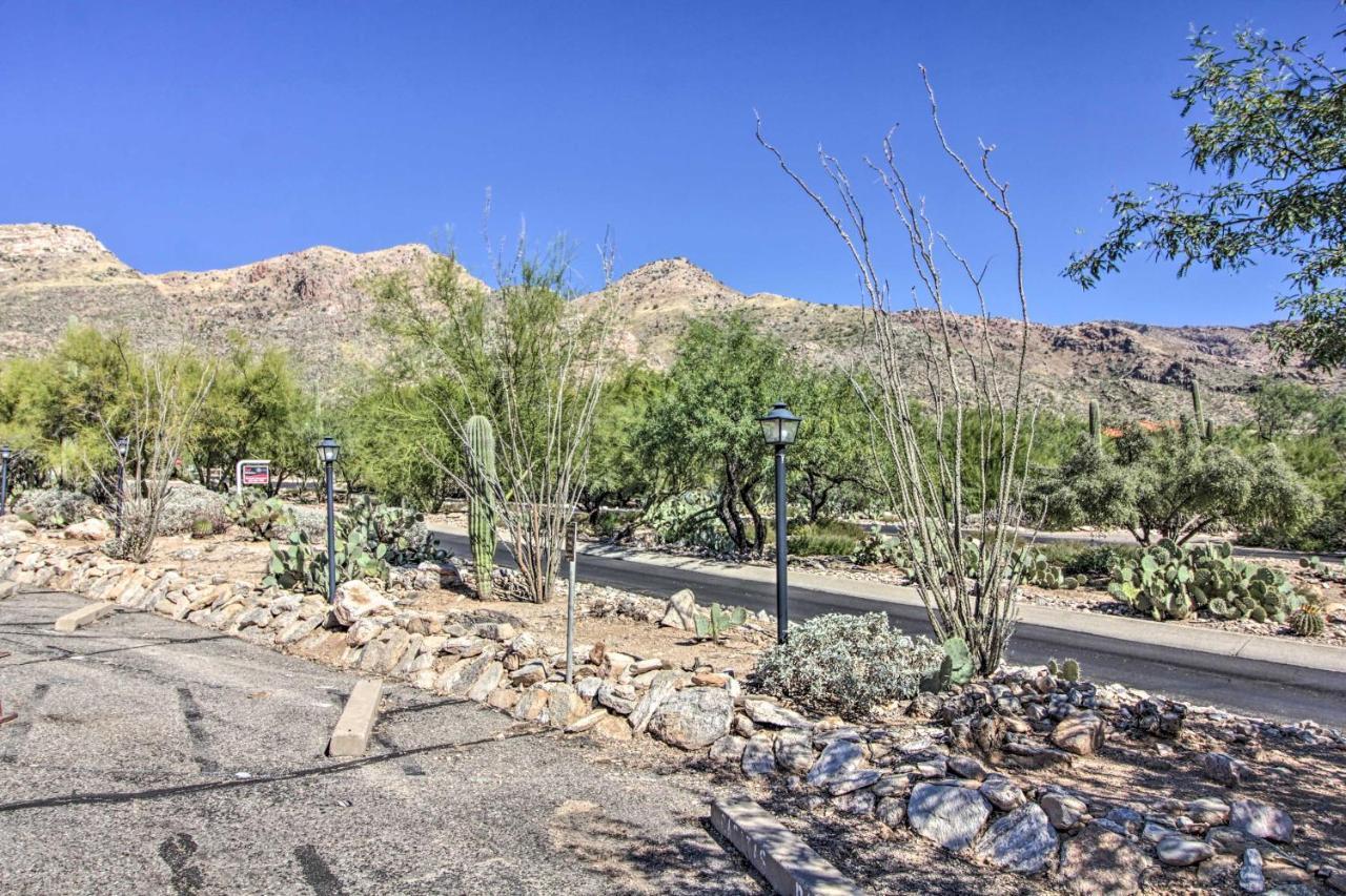 Catalina Foothills, Tucson Valley Hub With View Εξωτερικό φωτογραφία